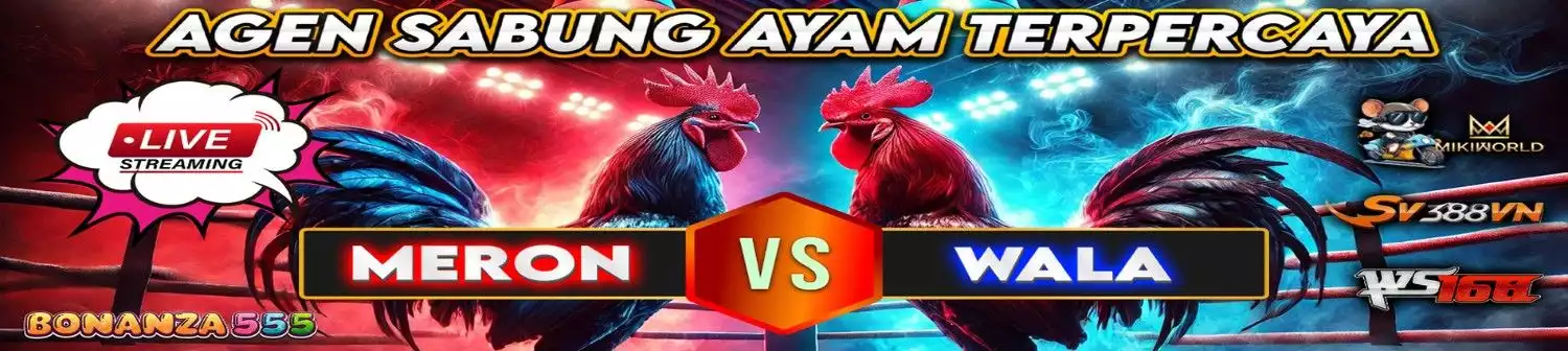 Bonanza555 Sabung Ayam
